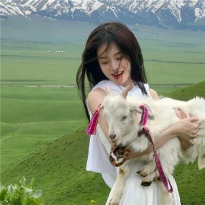 比弗利拜金狗